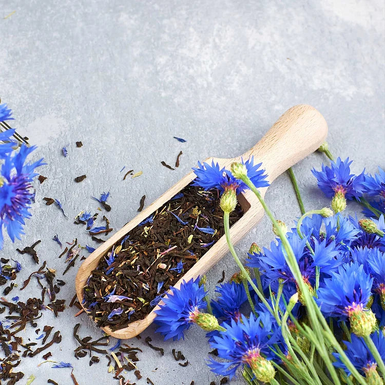 Premium Mixed Cornflower Seeds (Bachelor's Button) - Non-GMO