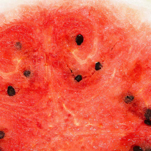 Watermelon Extract