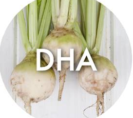 DHA (Dihydroxyacetone)