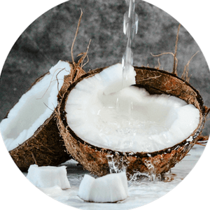 Coconut Oil (Cocos Nucifera)