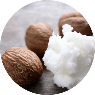 Shea Butter (Butyrospermum Parkii)